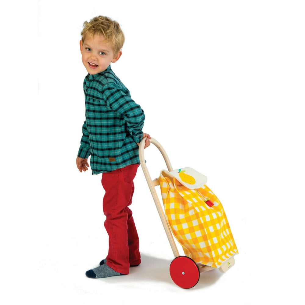 A child pulling the Tender Leaf Toys Pull Along Shopping Trolley with yellow checkered pattern and fruit decorations.