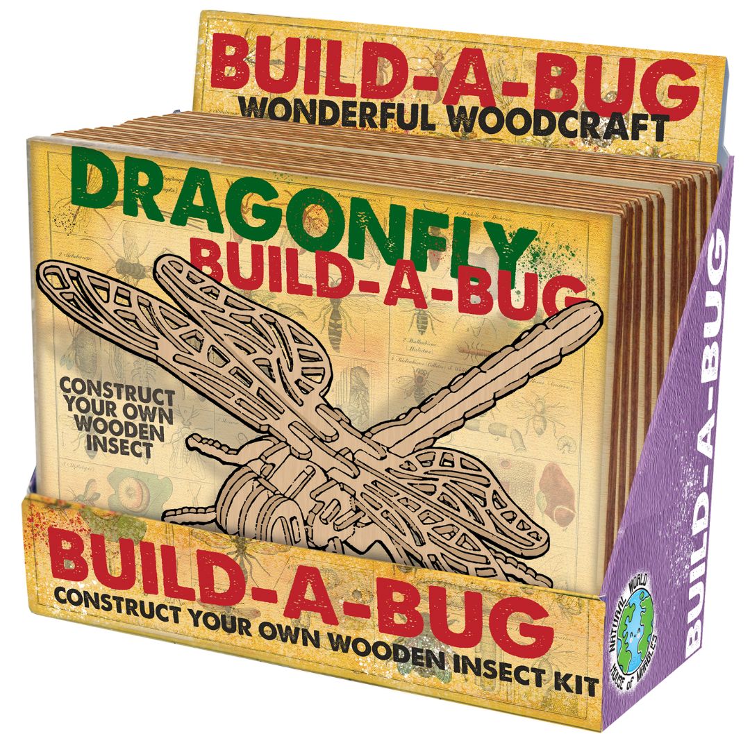 House of Marbles - Wooden Build A Bug Kit - Bella Luna Toys