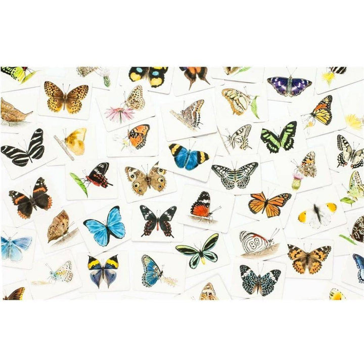 Butterfly Wings cards showing an assortment of colorful butterflies