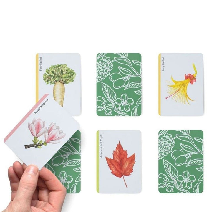Tree Families Botanical Card Game | 7 sample tree cards | Bella Luna Toys