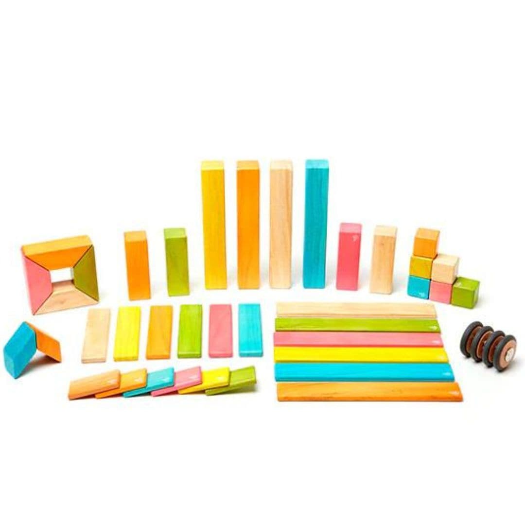 Tegu 42 piece wooden magnetic block set Tints