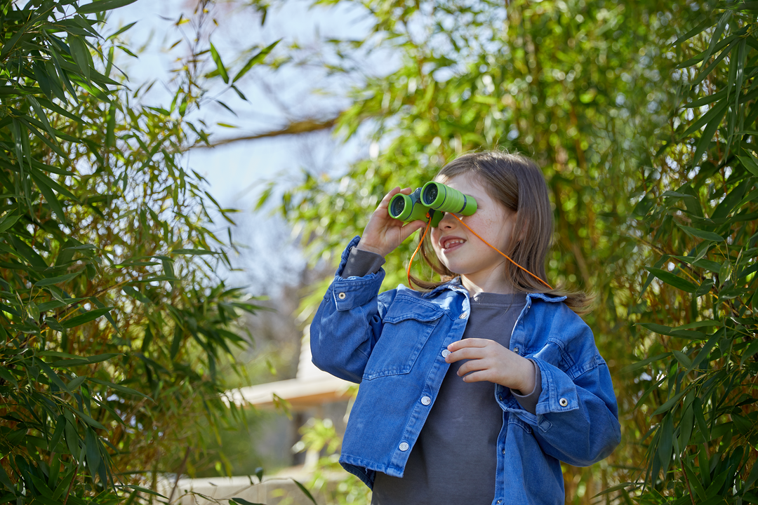 Birdwatching for Beginners