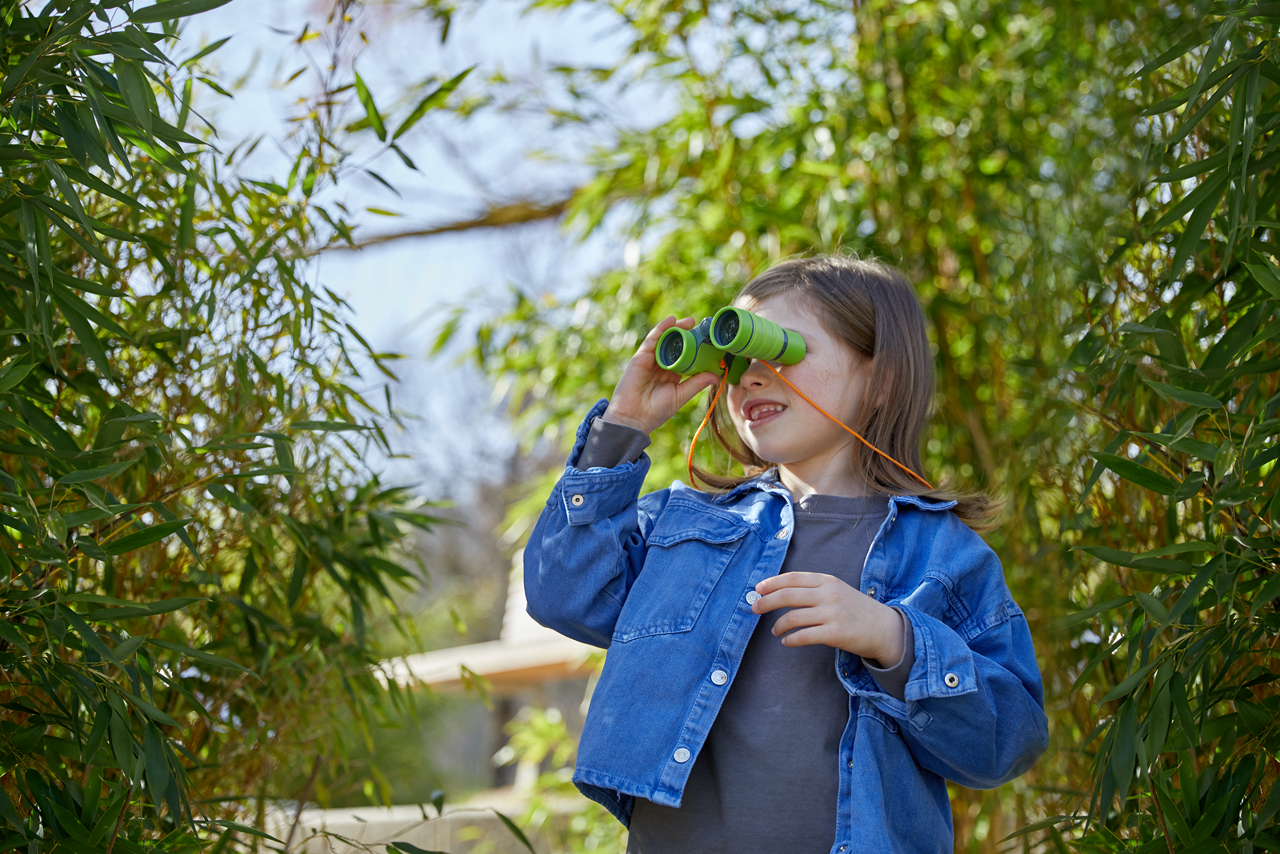 Birdwatching for Beginners