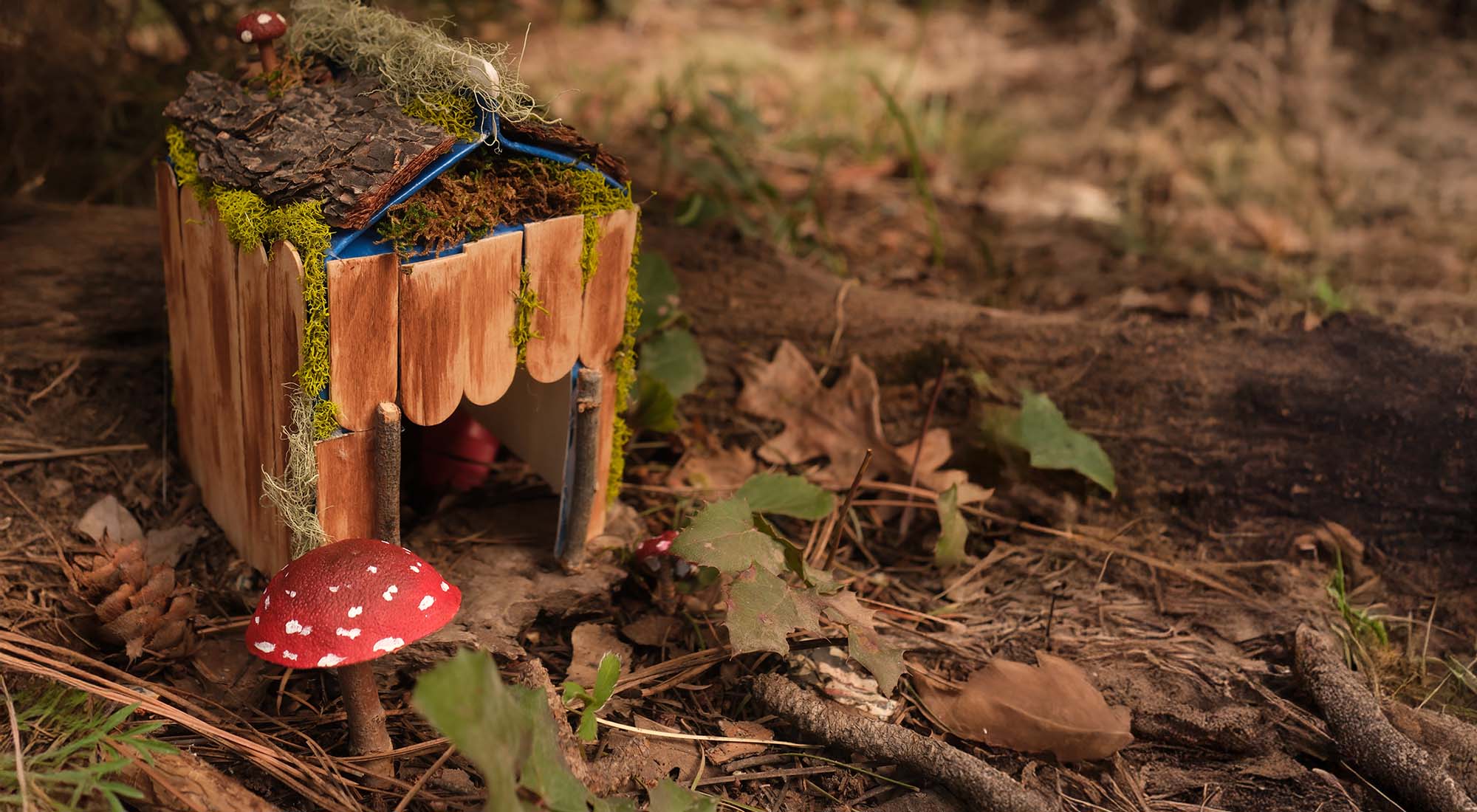 Craft a Mini Fairy House