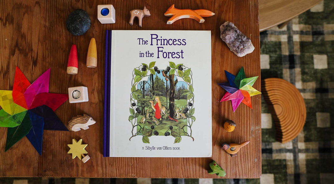 The Princess in the Forest Book
