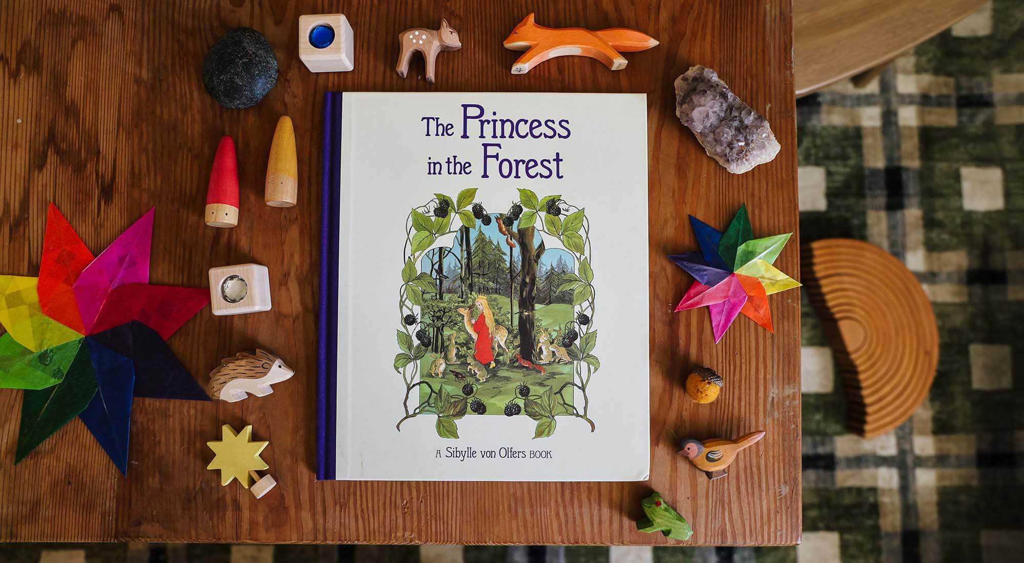 The Princess in the Forest Book