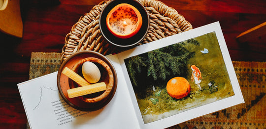 The Sun Egg - Summer Book Club