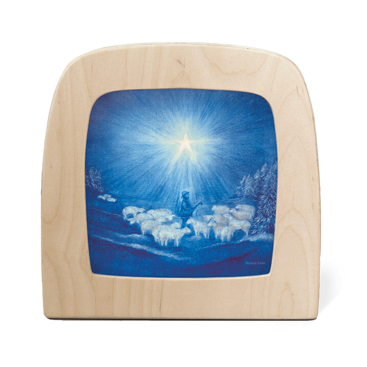Night Light Transparency - Baukje Exler Collection
