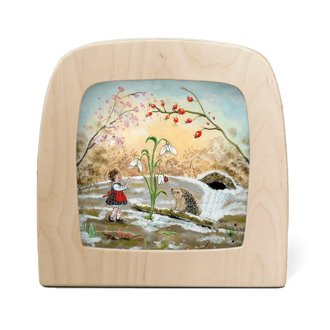 Night Light Transparency - Winter Collection