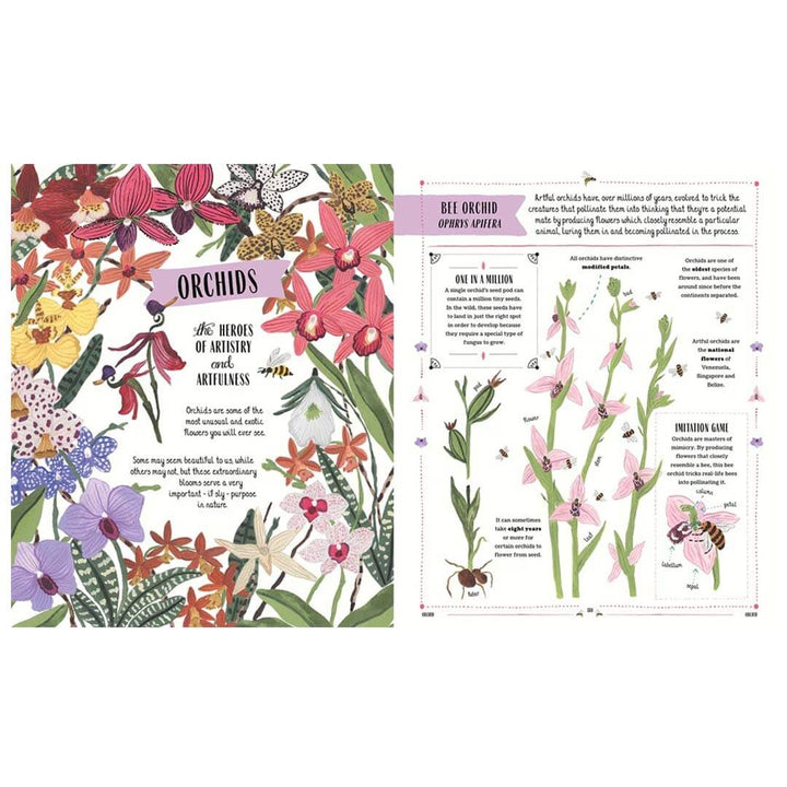 Coloring book page with illustrations of orchids and text on a white background.