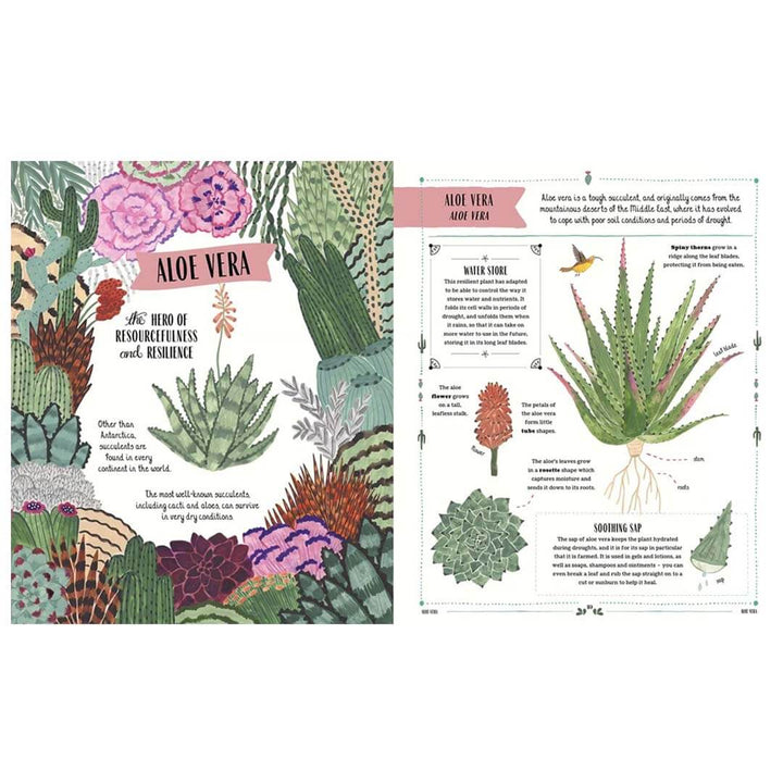 Illustrated book page about Aloe Vera with colorful plant illustrations and text.