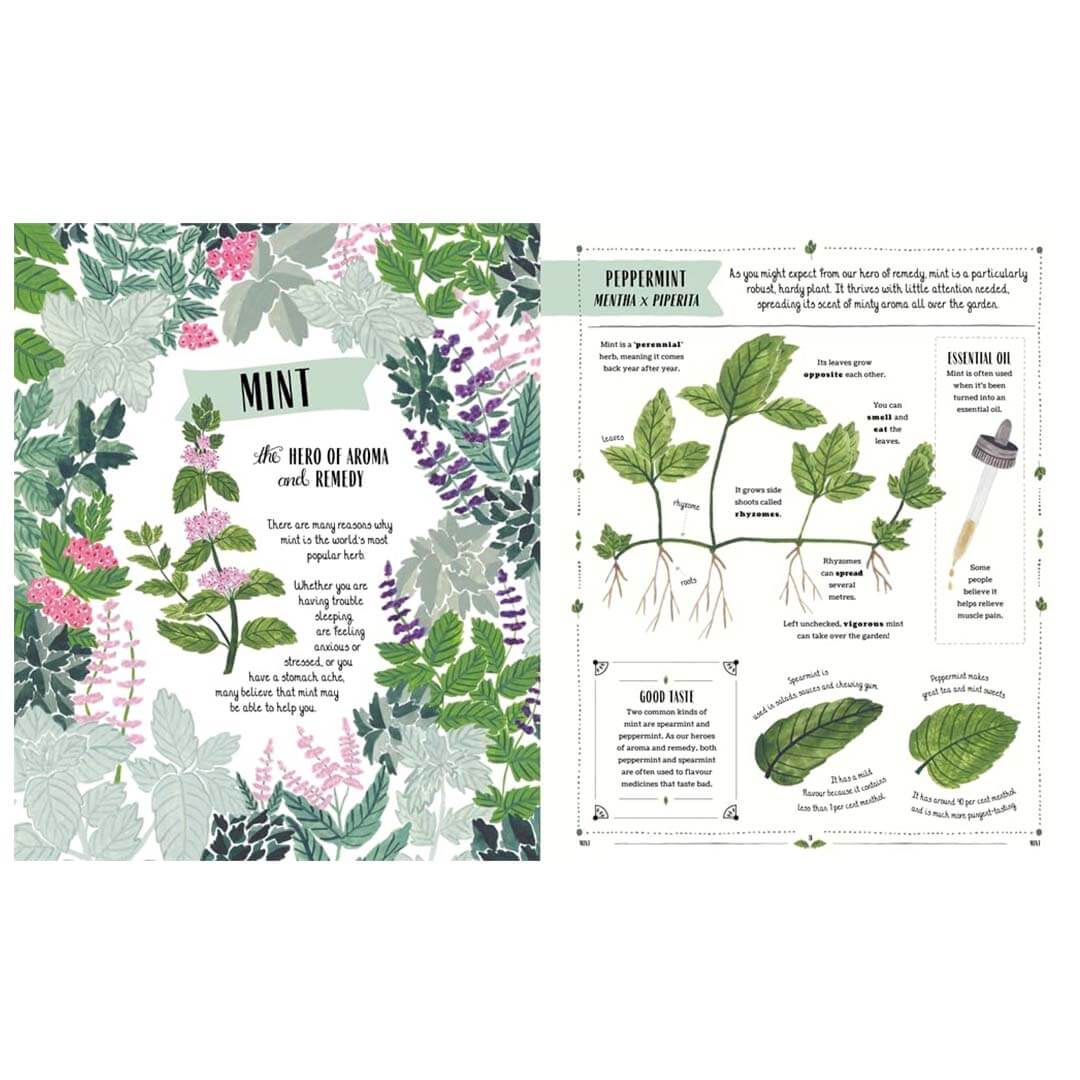 Botanical book page on a white background, one with floral design and text, the other with plant illustrations and text.