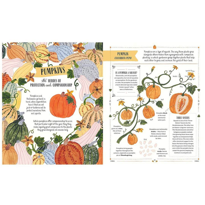 Two pages from a book featuring illustrations of pumpkins and text on a white background.