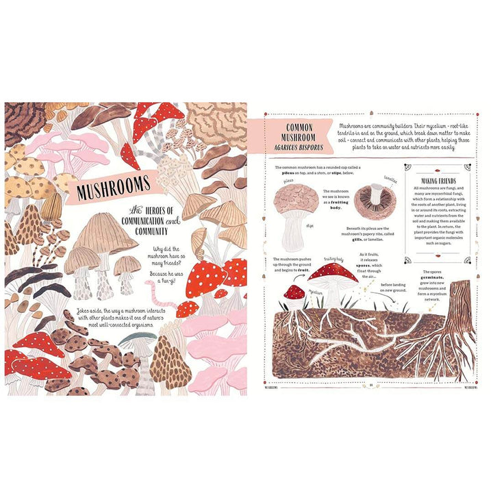 Illustrated book page about mushrooms with text and illustrations on a white background.