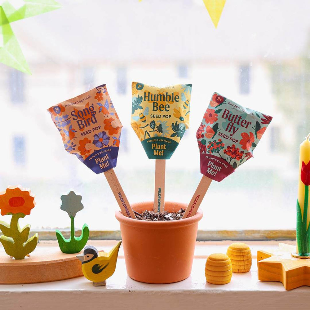 Three colorful seed packets with wooden sticks in a small terracotta pot on a windowsill.