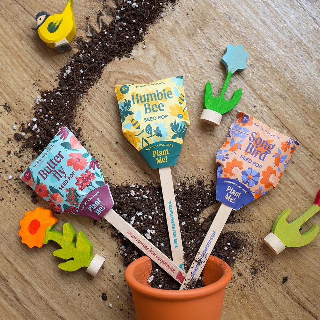 Modern Sprout - Pollinator Seed Pop - Bella Luna Toys