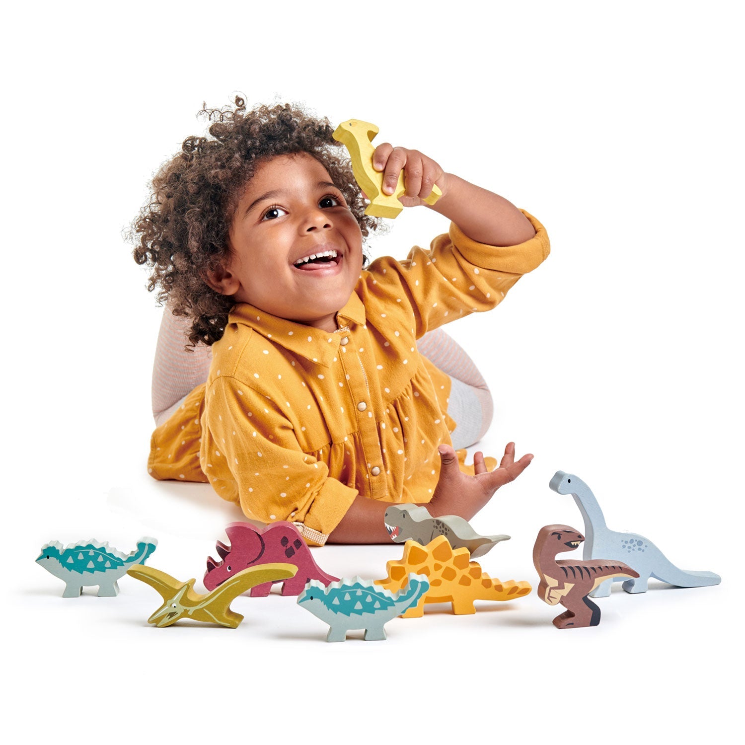TL8476-TL8477-dinosaurs-8.jpg?
