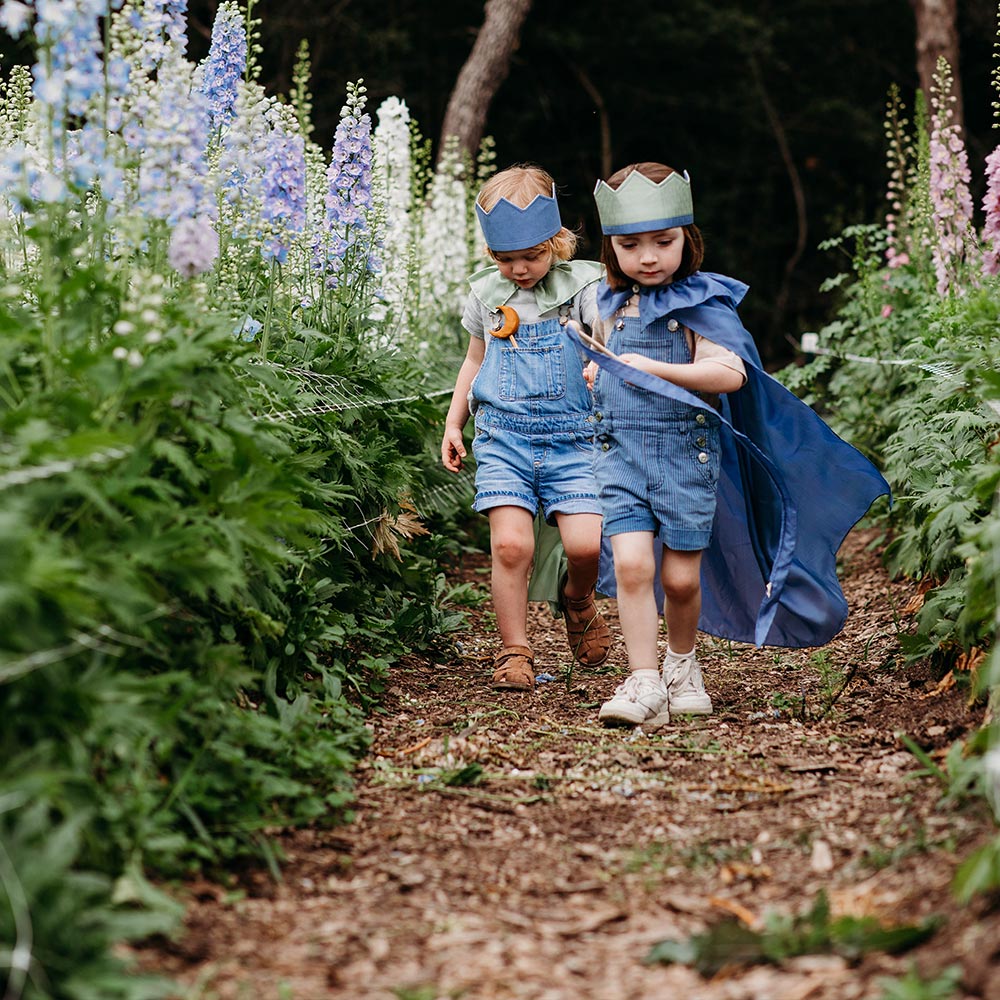 Sarah's Silks Northern Coast Magical Silk Dress Up set with reversible crowns, cape and streamer being used by two kids in a purple flower field.
