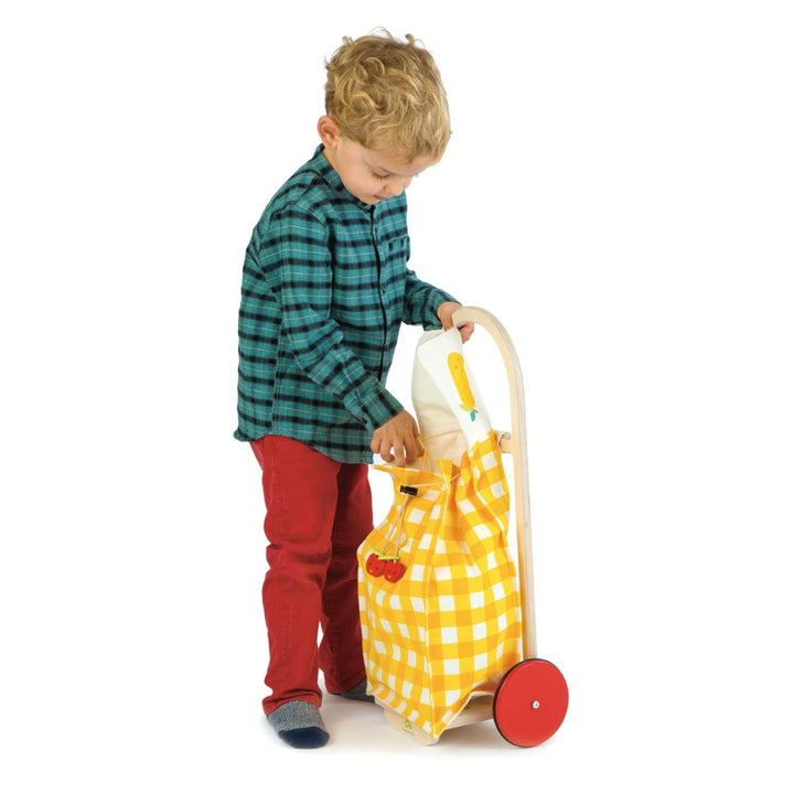 A child opens the Tender Leaf Toys Pull Along Shopping Trolley with yellow checkered pattern and fruit decorations.