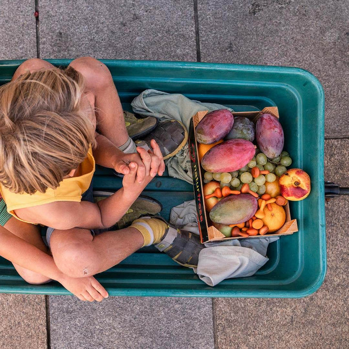 Two children sitting on a green bin filled with fruits and vegetables, looking at a box of produce.