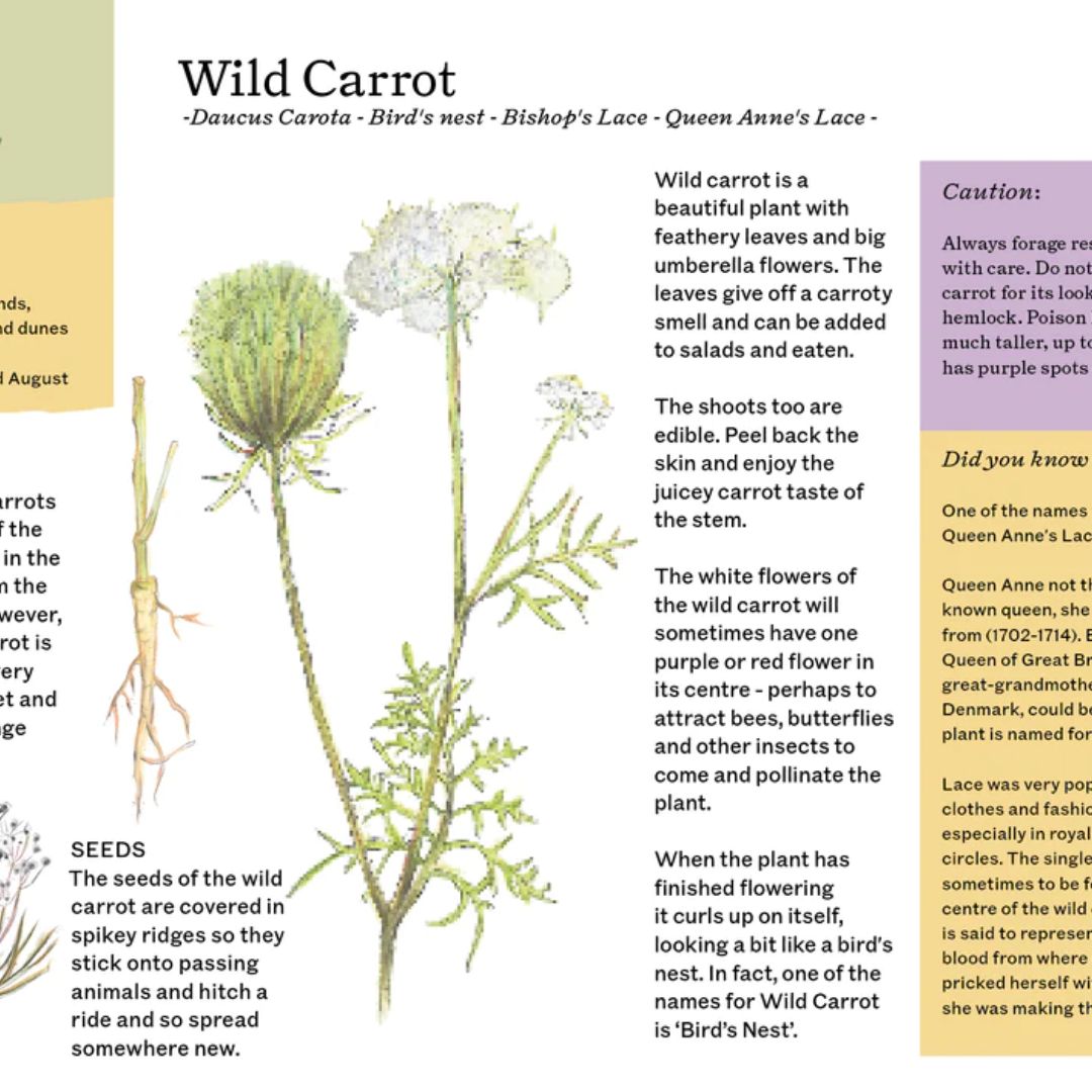 A Year And A Day Issue 15- Calendars-Bella Luna Toys