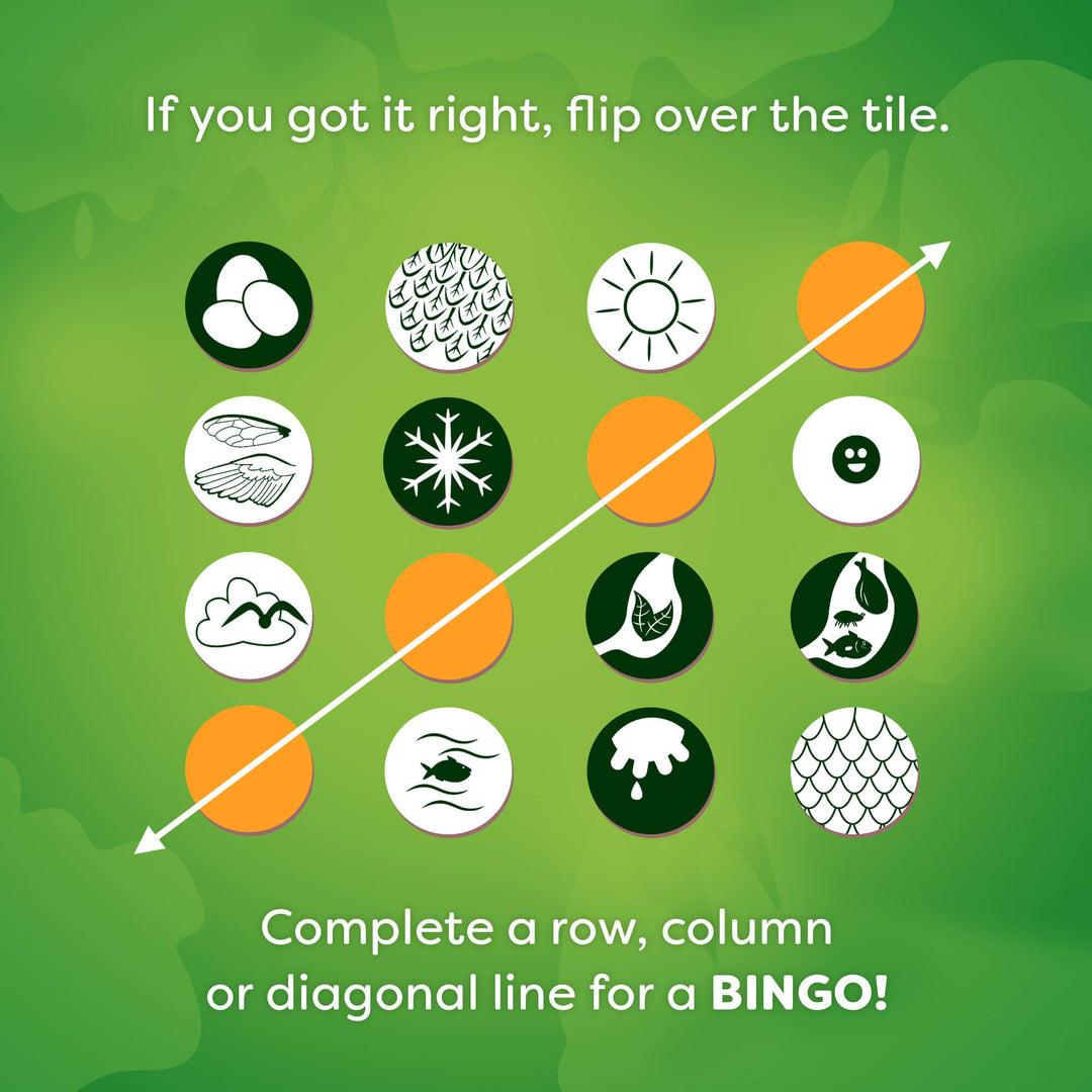 HABA Animals of the World Bingo game rules.