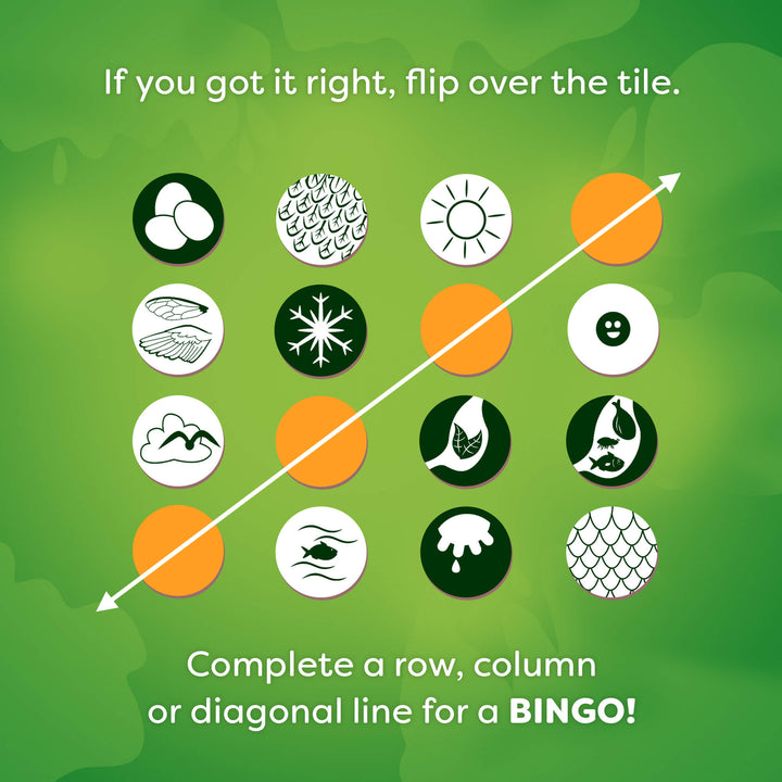 HABA Animals of the World Bingo game rules.