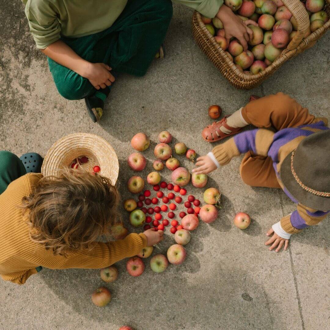 An overhead shot of children playing outside with Grapat Mandala Half Spheres set and apples with a basket of apples next to them - Bella Luna Toys