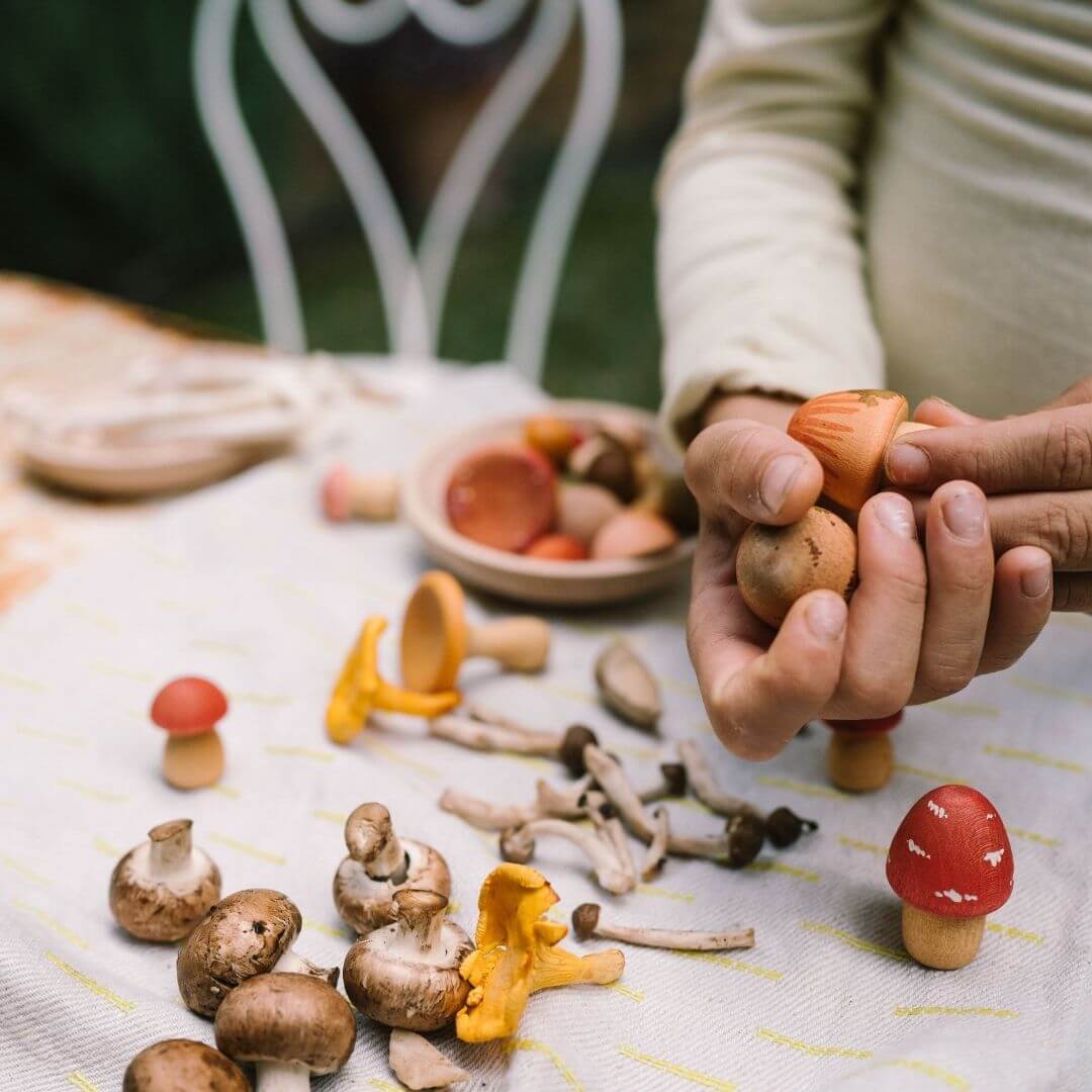 Grapat - Grapat Mushroom Grove - Bella Luna Toys