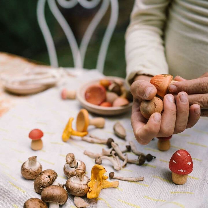 Grapat - Grapat Mushroom Grove - Bella Luna Toys