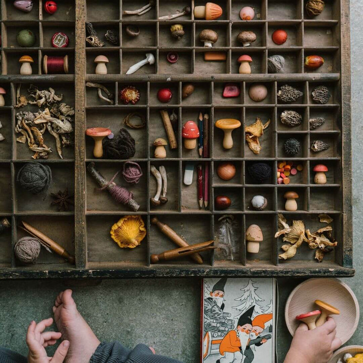 Grapat - Grapat Mushroom Grove - Bella Luna Toys