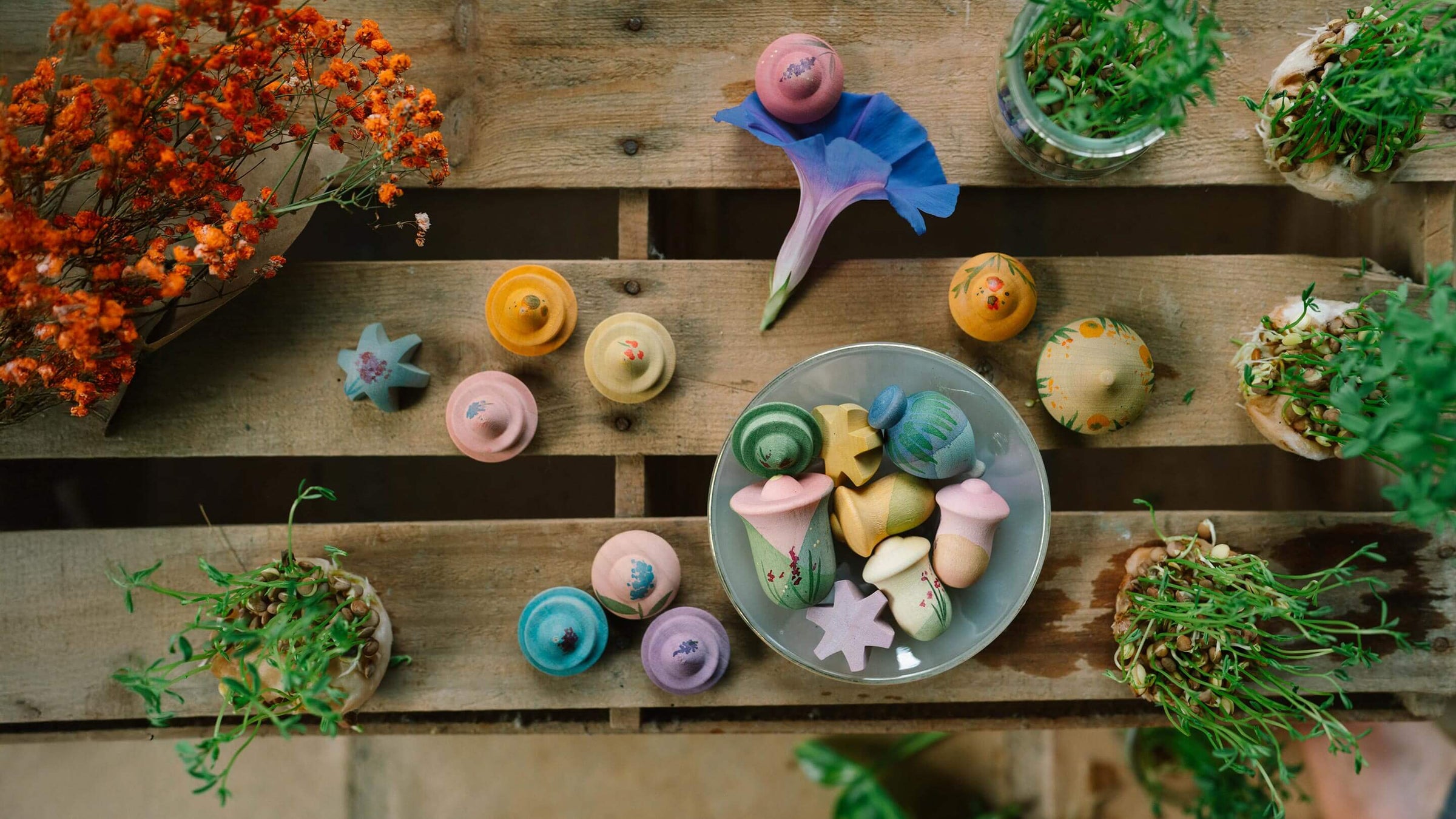 New arrivals for spring.