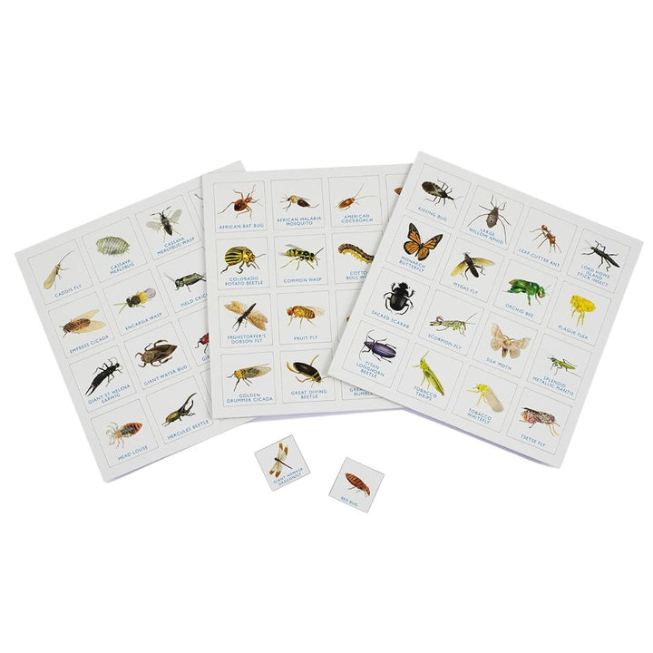 Bug Bingo Game Contents | Box and Canvas Bag | Bella Luna Toys