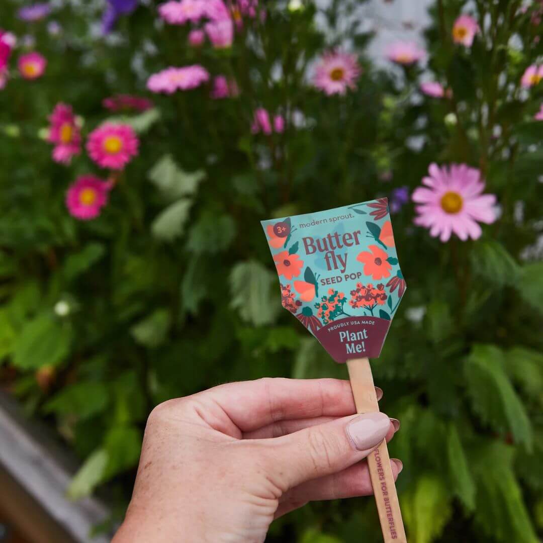 A hand holding the Butterfly Seed Pop in front of a flower garden with pink and purple flowers.