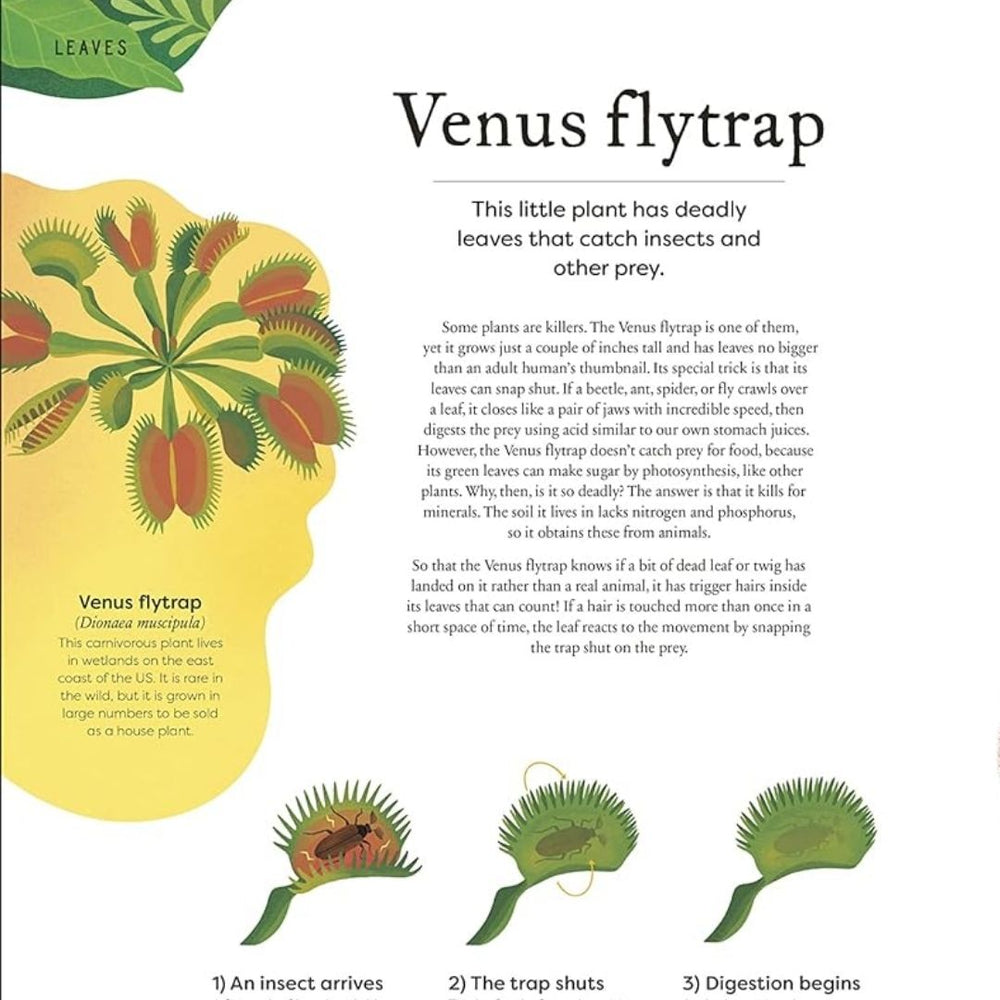 Penguin Random House The Secret World of Plants venus fly trap page- Bella Luna Toys