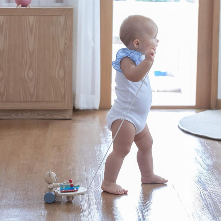 Baby walking across wooden floor pulling the Wooden PlanToys pull-along bear tapping a colorful xylophone with red mallets, mounted on wheels with a pull cord attached. Bella Luna Toys.