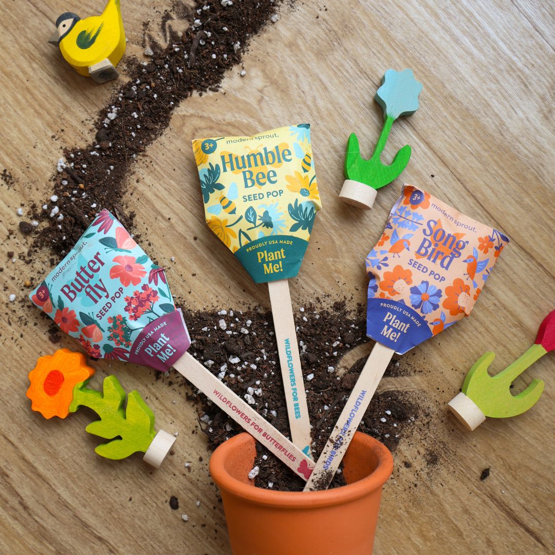 Modern Sprout - Seed Pop Bundle - Set of Three Seed Pops - Bella Luna Toys