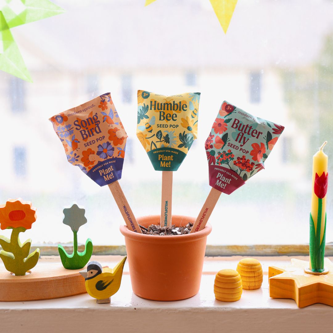 Modern Sprout - Seed Pop Bundle - Set of Three Seed Pops - Bella Luna Toys