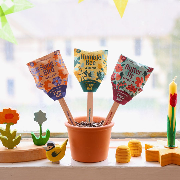 Modern Sprout - Seed Pop Bundle - Set of Three Seed Pops - Bella Luna Toys