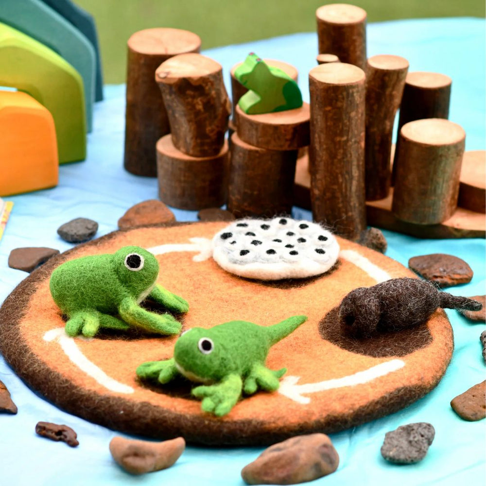 Felted Frog Life Stages Set with Life Cycle Playmat on table with wooden stumps