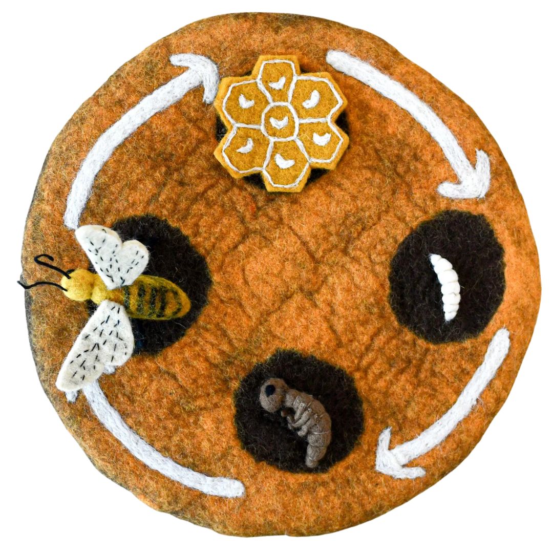 Felted Honey Bee Life Stages Set with Playmat