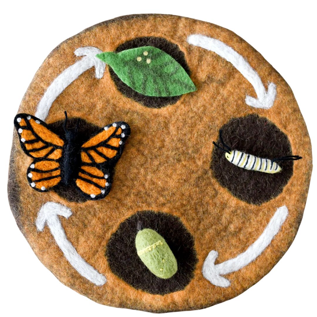 Tara Treasures - Felted Butterfly Life Stages Set with Playmat - Bella Luna Toys