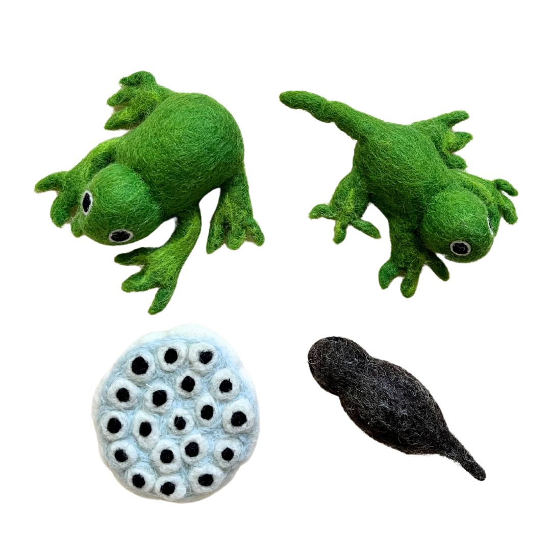 Tara Treasures Felt Lifecycle of a Frog- Learning Toys- Bella Luna Toys