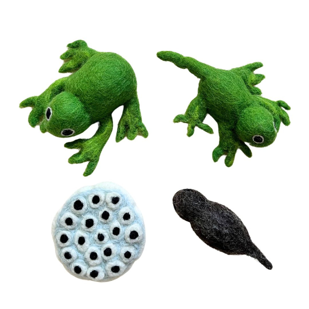 新品未使用　FROG PRODUCTS TOY SPIN taras-treasures-bella-luna-