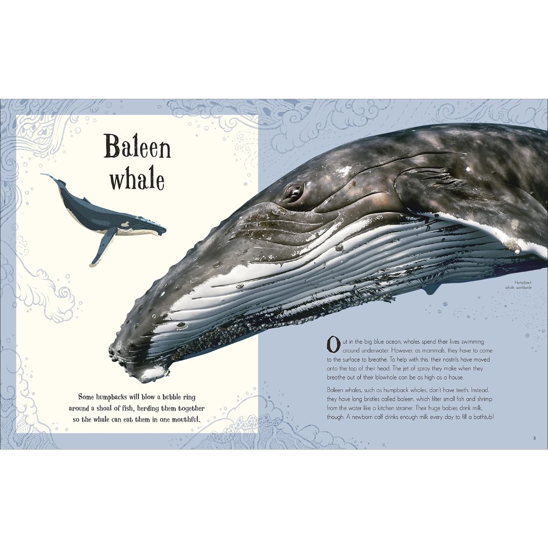 Intriguing DK Publishing An Anthology of Intriguing Animals