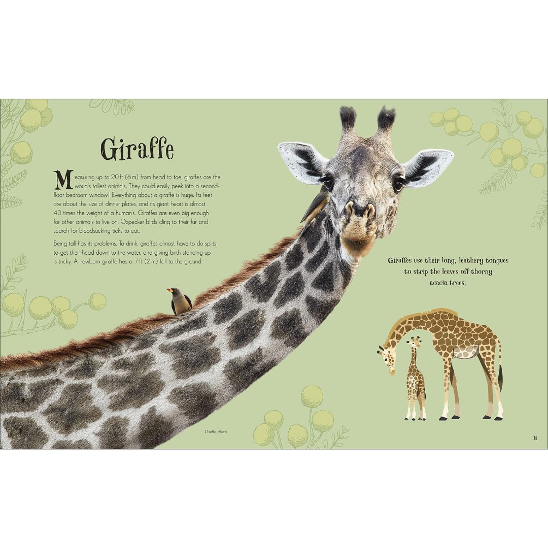 Intriguing DK Publishing An Anthology of Intriguing Animals