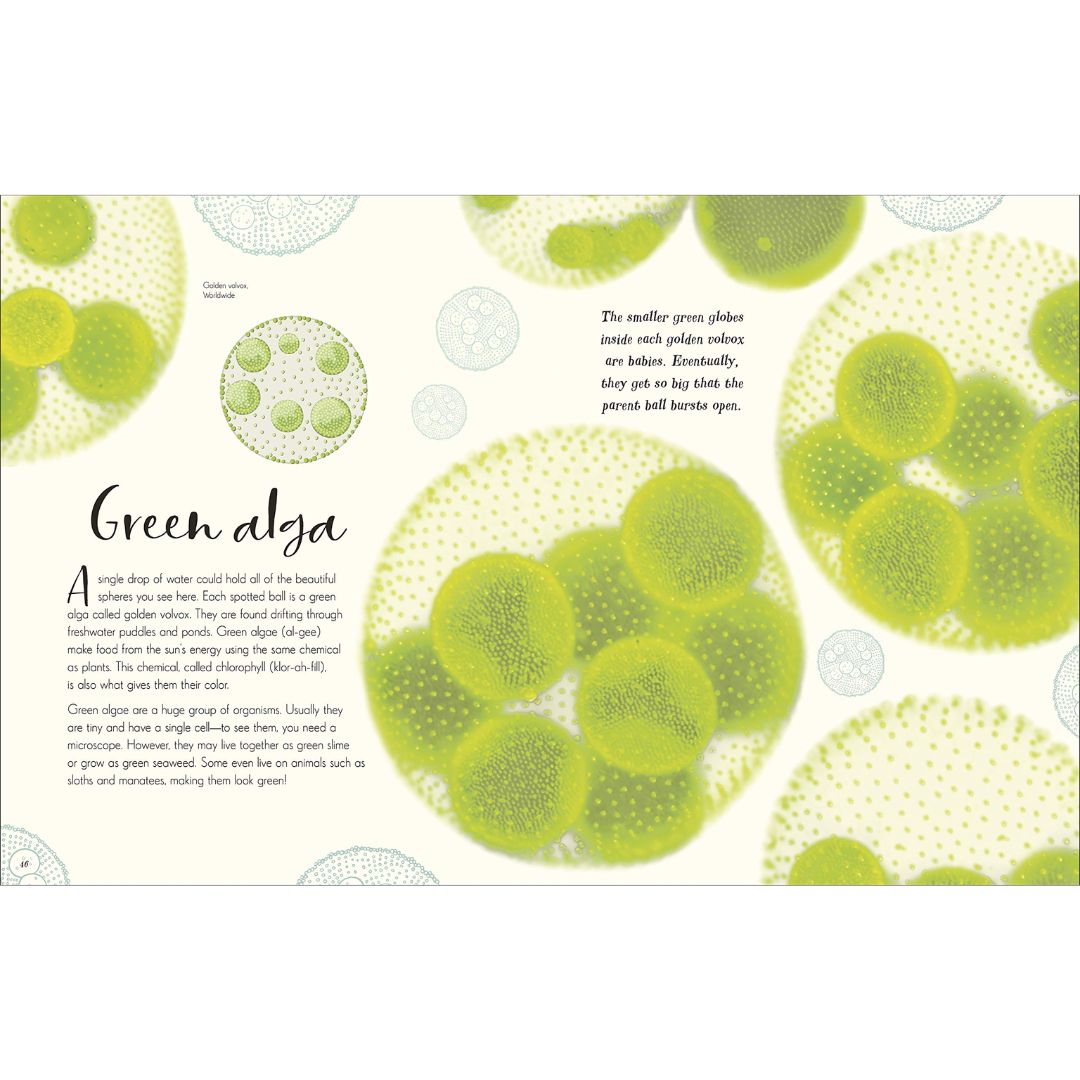 DK Publishing The Wonders of Nature