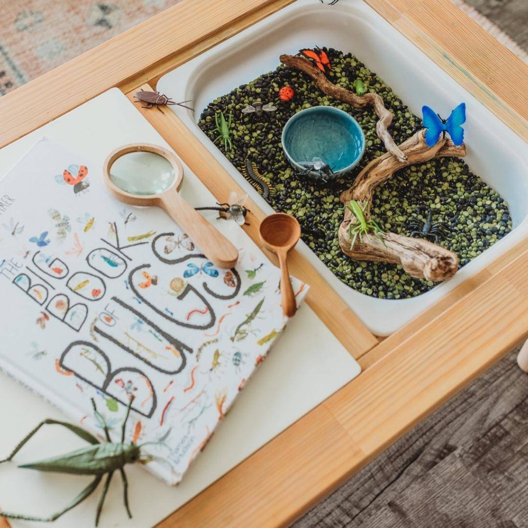 A sensory table featuring the wooden magnifying glass