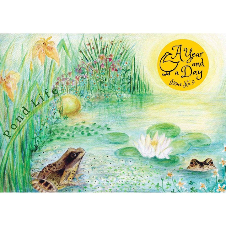 Cover of A Year and a Day Magazine - Issue 9 - Pond Life featuring two frogs in a pond scene
