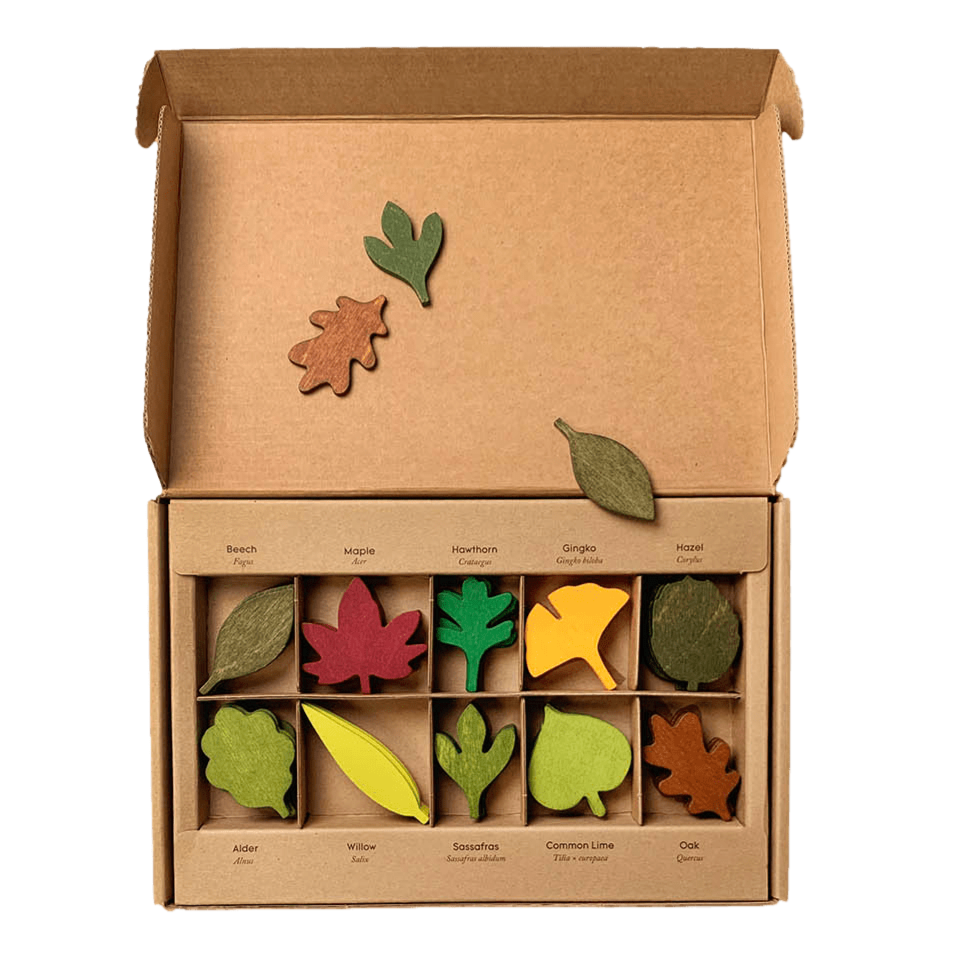 Moon Picnic- Colorful wooden leaves in a box- Bella Luna Toys